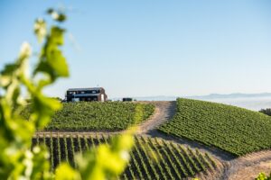 Alta Colina Vineyards